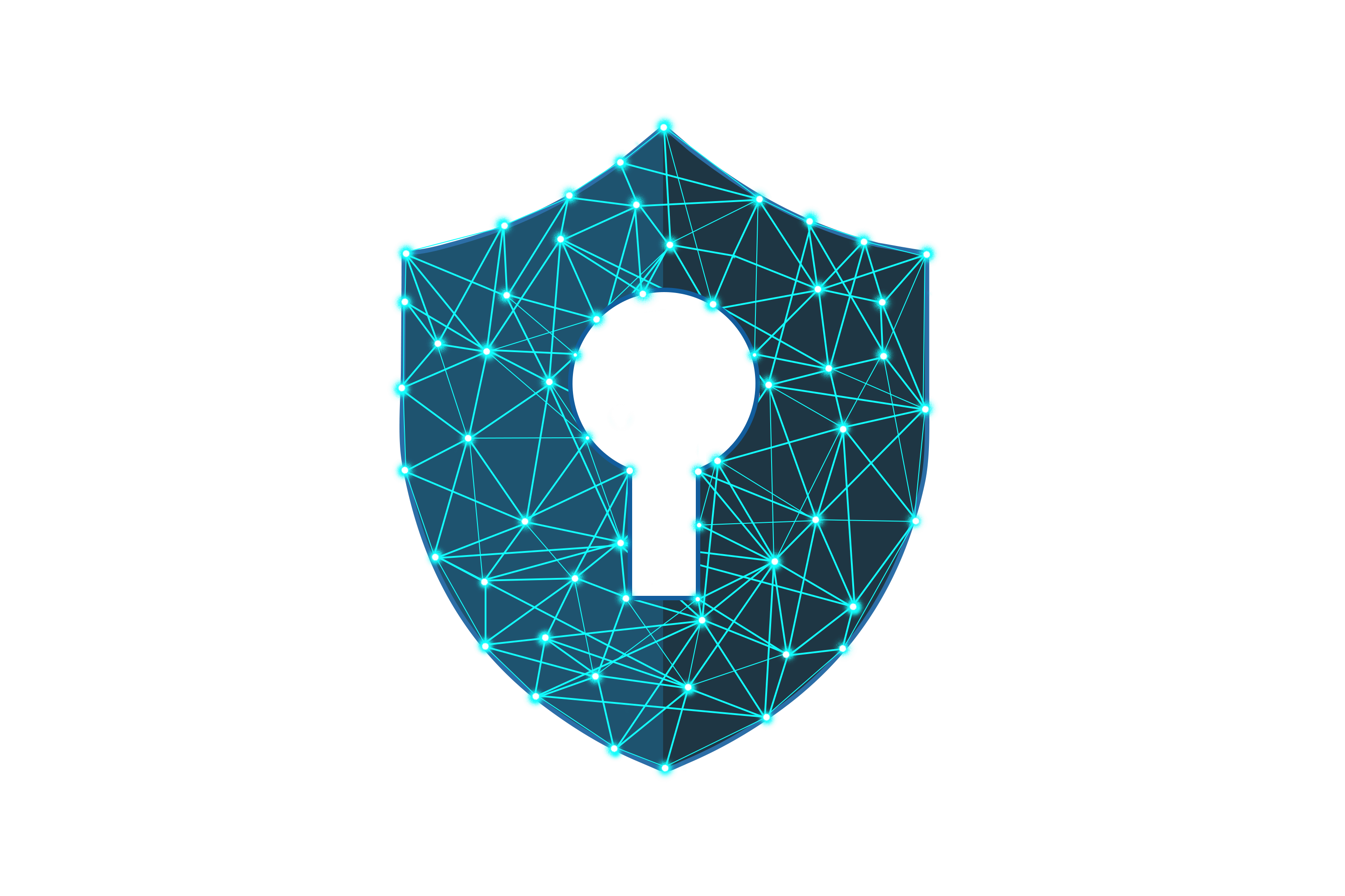 Security Shield